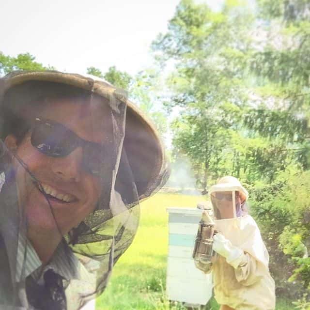 Bees